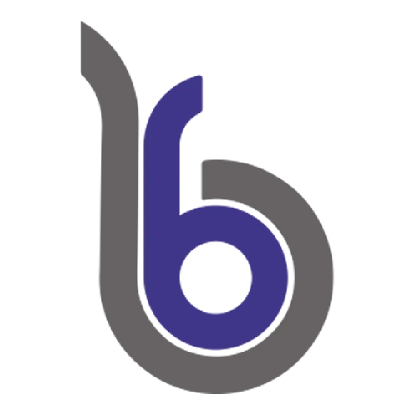 Bayburt Grup