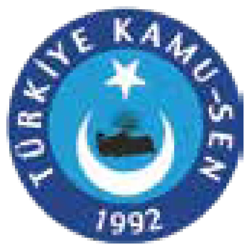 Türkiye Kamu-Sen