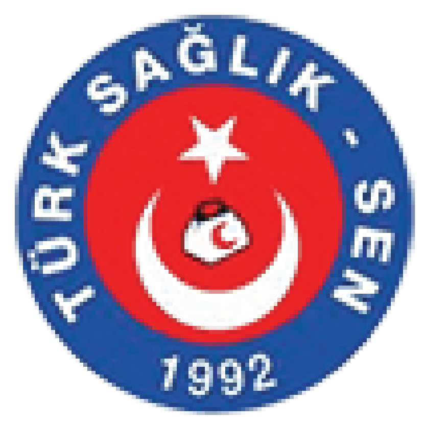 Türk Sağlık-Sen